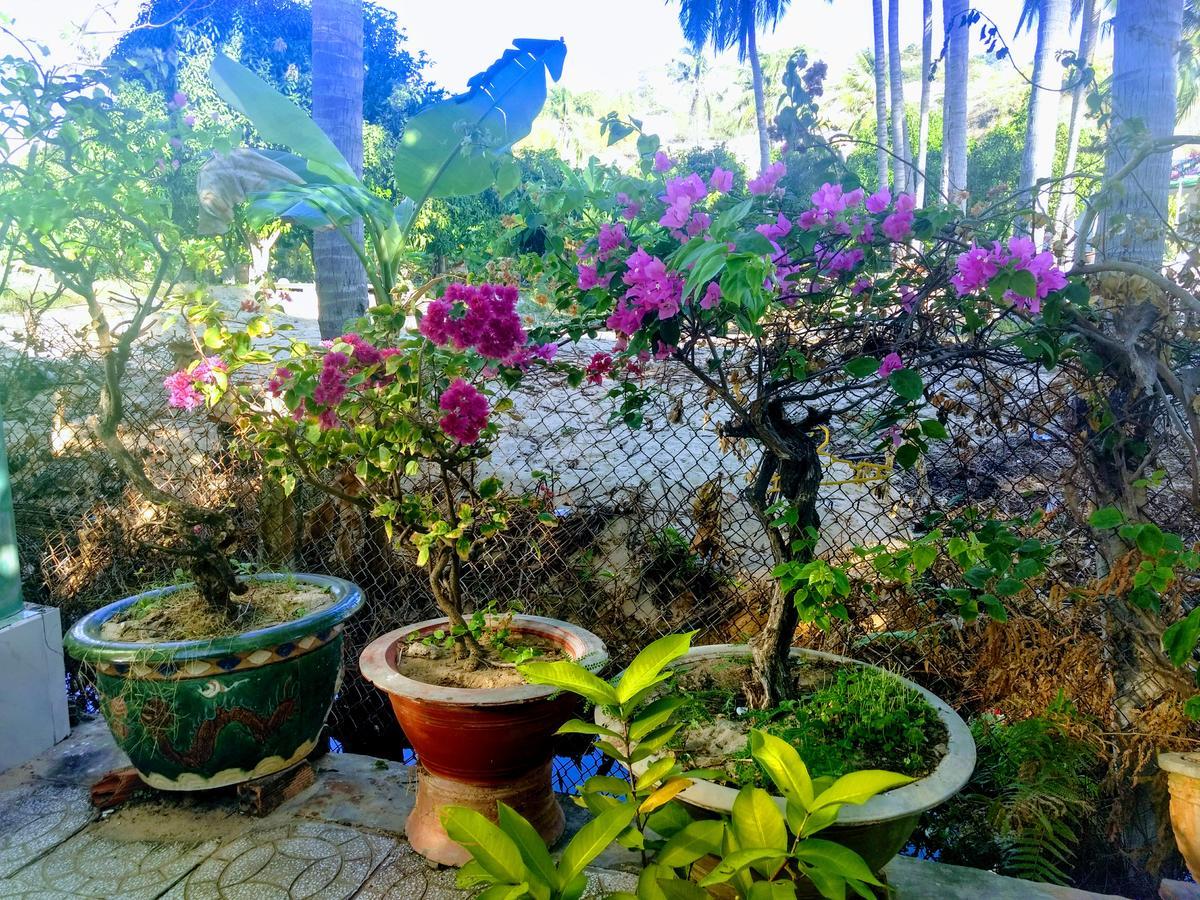 Anh Linh Guest House Mui Ne Dış mekan fotoğraf