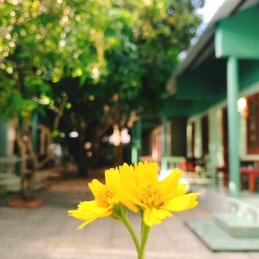 Anh Linh Guest House Mui Ne Dış mekan fotoğraf