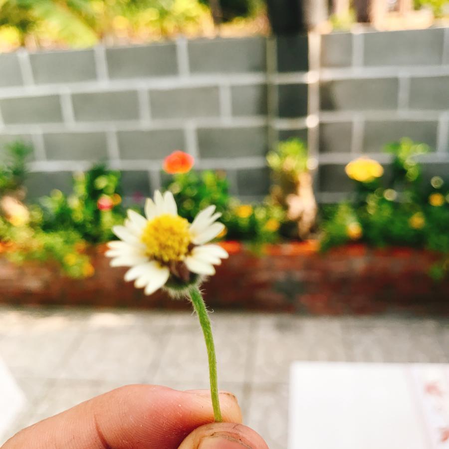 Anh Linh Guest House Mui Ne Dış mekan fotoğraf